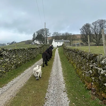 Lower Carhullan Дом отдыха Пенрит