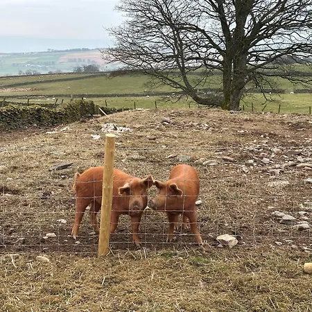 Дом отдыха Lower Carhullan